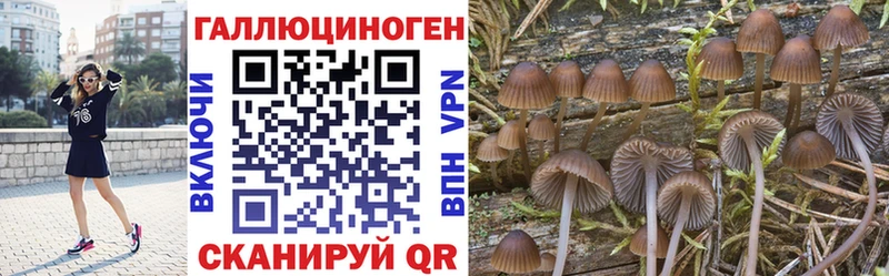 Псилоцибиновые грибы ЛСД  Салаир 